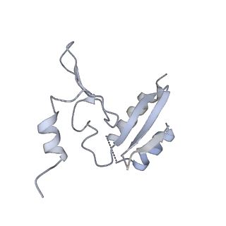 6456_3jbn_A2_v1-2
Cryo-electron microscopy reconstruction of the Plasmodium falciparum 80S ribosome bound to P-tRNA