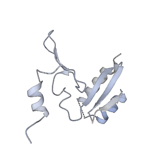 6456_3jbn_A2_v1-3
Cryo-electron microscopy reconstruction of the Plasmodium falciparum 80S ribosome bound to P-tRNA