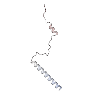 6456_3jbn_A4_v1-2
Cryo-electron microscopy reconstruction of the Plasmodium falciparum 80S ribosome bound to P-tRNA