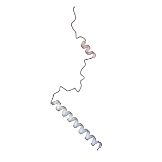 6456_3jbn_A4_v1-3
Cryo-electron microscopy reconstruction of the Plasmodium falciparum 80S ribosome bound to P-tRNA