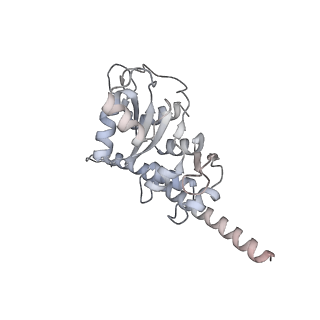 6456_3jbn_A5_v1-2
Cryo-electron microscopy reconstruction of the Plasmodium falciparum 80S ribosome bound to P-tRNA