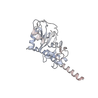 6456_3jbn_A5_v1-3
Cryo-electron microscopy reconstruction of the Plasmodium falciparum 80S ribosome bound to P-tRNA