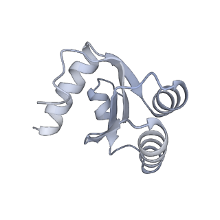 6456_3jbn_A6_v1-2
Cryo-electron microscopy reconstruction of the Plasmodium falciparum 80S ribosome bound to P-tRNA