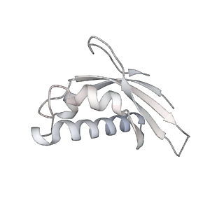 6456_3jbn_A7_v1-2
Cryo-electron microscopy reconstruction of the Plasmodium falciparum 80S ribosome bound to P-tRNA