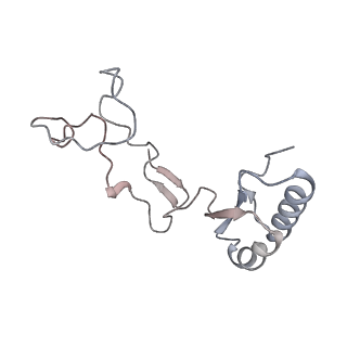 6456_3jbn_A8_v1-3
Cryo-electron microscopy reconstruction of the Plasmodium falciparum 80S ribosome bound to P-tRNA