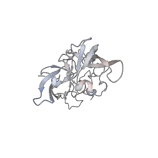 6456_3jbn_AD_v1-2
Cryo-electron microscopy reconstruction of the Plasmodium falciparum 80S ribosome bound to P-tRNA