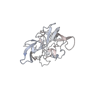 6456_3jbn_AD_v1-3
Cryo-electron microscopy reconstruction of the Plasmodium falciparum 80S ribosome bound to P-tRNA