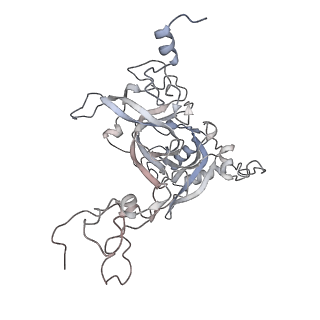6456_3jbn_AE_v1-2
Cryo-electron microscopy reconstruction of the Plasmodium falciparum 80S ribosome bound to P-tRNA
