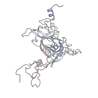 6456_3jbn_AE_v1-3
Cryo-electron microscopy reconstruction of the Plasmodium falciparum 80S ribosome bound to P-tRNA