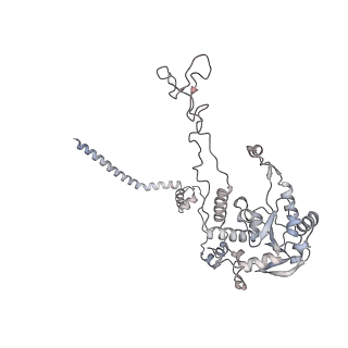 6456_3jbn_AF_v1-2
Cryo-electron microscopy reconstruction of the Plasmodium falciparum 80S ribosome bound to P-tRNA