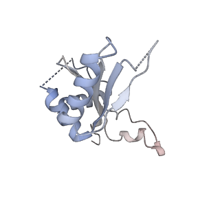 6456_3jbn_AG_v1-2
Cryo-electron microscopy reconstruction of the Plasmodium falciparum 80S ribosome bound to P-tRNA