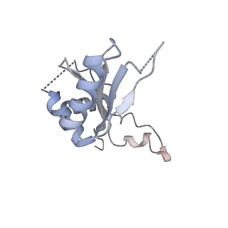 6456_3jbn_AG_v1-3
Cryo-electron microscopy reconstruction of the Plasmodium falciparum 80S ribosome bound to P-tRNA