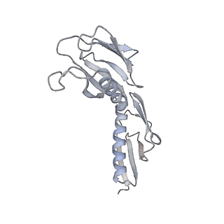6456_3jbn_AH_v1-2
Cryo-electron microscopy reconstruction of the Plasmodium falciparum 80S ribosome bound to P-tRNA