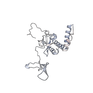 6456_3jbn_AI_v1-2
Cryo-electron microscopy reconstruction of the Plasmodium falciparum 80S ribosome bound to P-tRNA