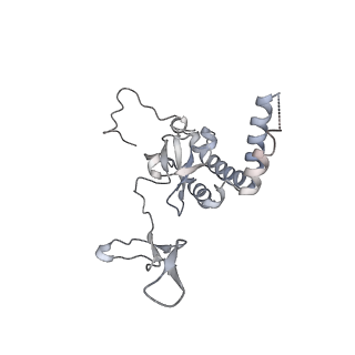 6456_3jbn_AI_v1-3
Cryo-electron microscopy reconstruction of the Plasmodium falciparum 80S ribosome bound to P-tRNA