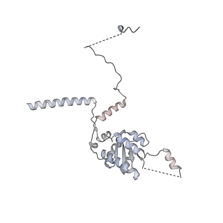 6456_3jbn_AJ_v1-2
Cryo-electron microscopy reconstruction of the Plasmodium falciparum 80S ribosome bound to P-tRNA