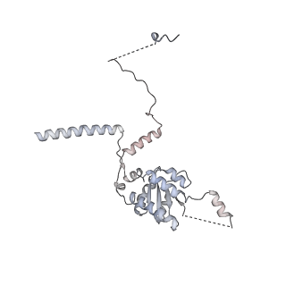 6456_3jbn_AJ_v1-3
Cryo-electron microscopy reconstruction of the Plasmodium falciparum 80S ribosome bound to P-tRNA