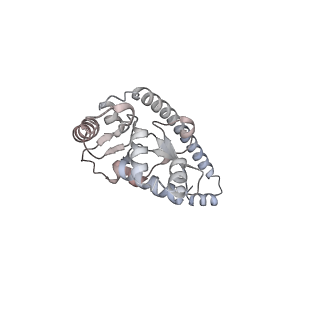6456_3jbn_AK_v1-2
Cryo-electron microscopy reconstruction of the Plasmodium falciparum 80S ribosome bound to P-tRNA