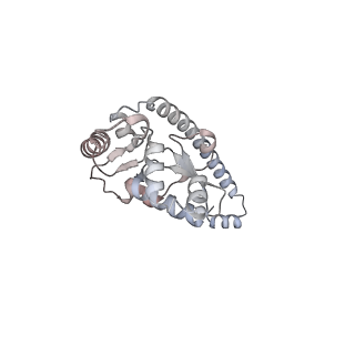 6456_3jbn_AK_v1-3
Cryo-electron microscopy reconstruction of the Plasmodium falciparum 80S ribosome bound to P-tRNA