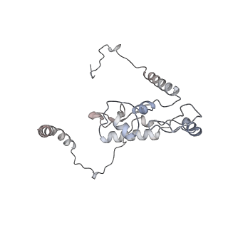 6456_3jbn_AL_v1-2
Cryo-electron microscopy reconstruction of the Plasmodium falciparum 80S ribosome bound to P-tRNA