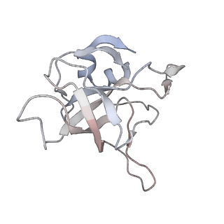 6456_3jbn_AM_v1-2
Cryo-electron microscopy reconstruction of the Plasmodium falciparum 80S ribosome bound to P-tRNA