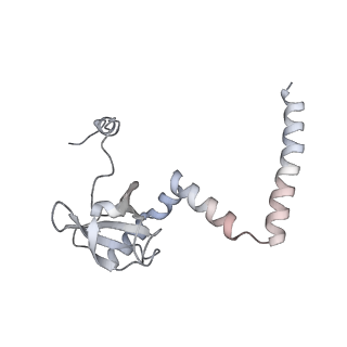 6456_3jbn_AN_v1-2
Cryo-electron microscopy reconstruction of the Plasmodium falciparum 80S ribosome bound to P-tRNA