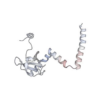 6456_3jbn_AN_v1-3
Cryo-electron microscopy reconstruction of the Plasmodium falciparum 80S ribosome bound to P-tRNA