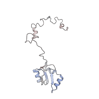 6456_3jbn_AO_v1-2
Cryo-electron microscopy reconstruction of the Plasmodium falciparum 80S ribosome bound to P-tRNA