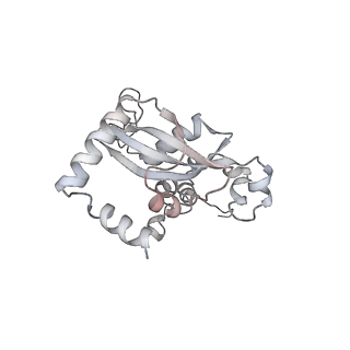 6456_3jbn_AP_v1-2
Cryo-electron microscopy reconstruction of the Plasmodium falciparum 80S ribosome bound to P-tRNA
