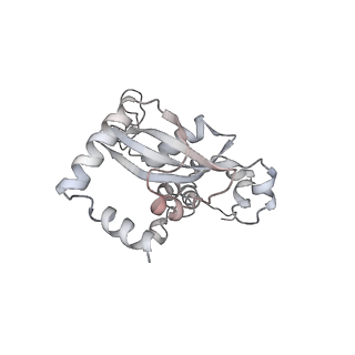 6456_3jbn_AP_v1-3
Cryo-electron microscopy reconstruction of the Plasmodium falciparum 80S ribosome bound to P-tRNA