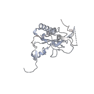6456_3jbn_AQ_v1-2
Cryo-electron microscopy reconstruction of the Plasmodium falciparum 80S ribosome bound to P-tRNA