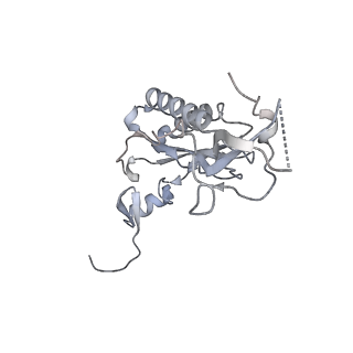 6456_3jbn_AQ_v1-3
Cryo-electron microscopy reconstruction of the Plasmodium falciparum 80S ribosome bound to P-tRNA