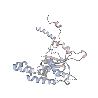 6456_3jbn_AR_v1-2
Cryo-electron microscopy reconstruction of the Plasmodium falciparum 80S ribosome bound to P-tRNA