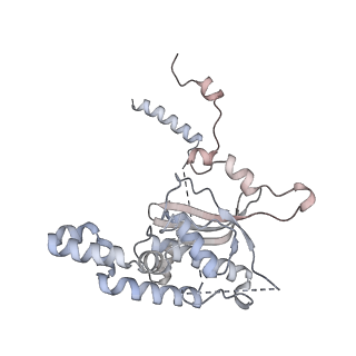 6456_3jbn_AR_v1-3
Cryo-electron microscopy reconstruction of the Plasmodium falciparum 80S ribosome bound to P-tRNA