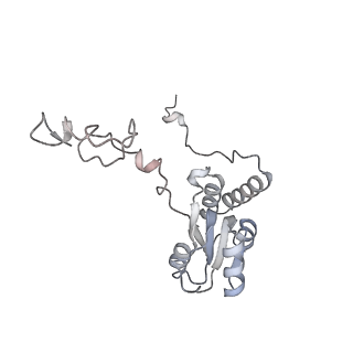 6456_3jbn_AS_v1-2
Cryo-electron microscopy reconstruction of the Plasmodium falciparum 80S ribosome bound to P-tRNA