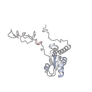 6456_3jbn_AS_v1-3
Cryo-electron microscopy reconstruction of the Plasmodium falciparum 80S ribosome bound to P-tRNA