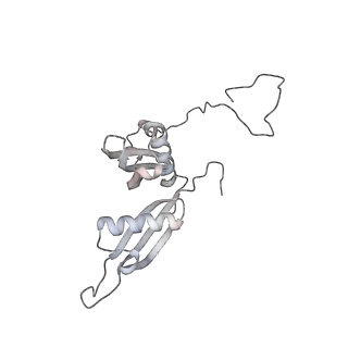 6456_3jbn_AU_v1-2
Cryo-electron microscopy reconstruction of the Plasmodium falciparum 80S ribosome bound to P-tRNA