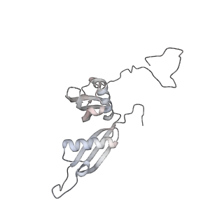 6456_3jbn_AU_v1-3
Cryo-electron microscopy reconstruction of the Plasmodium falciparum 80S ribosome bound to P-tRNA