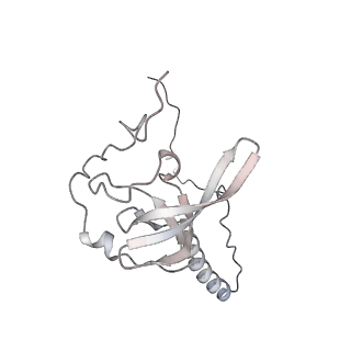 6456_3jbn_AV_v1-2
Cryo-electron microscopy reconstruction of the Plasmodium falciparum 80S ribosome bound to P-tRNA