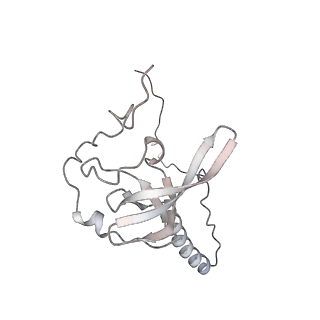 6456_3jbn_AV_v1-3
Cryo-electron microscopy reconstruction of the Plasmodium falciparum 80S ribosome bound to P-tRNA