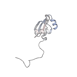 6456_3jbn_AY_v1-2
Cryo-electron microscopy reconstruction of the Plasmodium falciparum 80S ribosome bound to P-tRNA