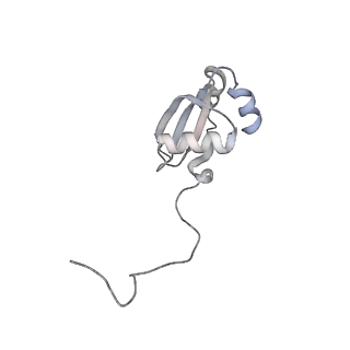 6456_3jbn_AY_v1-3
Cryo-electron microscopy reconstruction of the Plasmodium falciparum 80S ribosome bound to P-tRNA