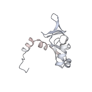 6456_3jbn_AZ_v1-2
Cryo-electron microscopy reconstruction of the Plasmodium falciparum 80S ribosome bound to P-tRNA