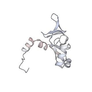 6456_3jbn_AZ_v1-3
Cryo-electron microscopy reconstruction of the Plasmodium falciparum 80S ribosome bound to P-tRNA