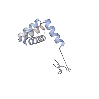 6456_3jbn_Ab_v1-2
Cryo-electron microscopy reconstruction of the Plasmodium falciparum 80S ribosome bound to P-tRNA