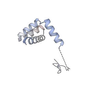 6456_3jbn_Ab_v1-3
Cryo-electron microscopy reconstruction of the Plasmodium falciparum 80S ribosome bound to P-tRNA