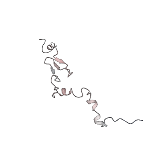 6456_3jbn_Ac_v1-2
Cryo-electron microscopy reconstruction of the Plasmodium falciparum 80S ribosome bound to P-tRNA