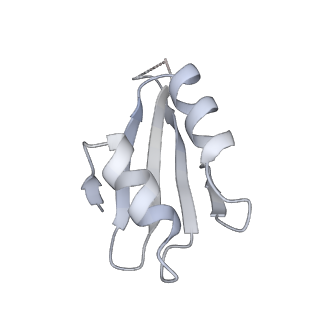 6456_3jbn_Ad_v1-2
Cryo-electron microscopy reconstruction of the Plasmodium falciparum 80S ribosome bound to P-tRNA