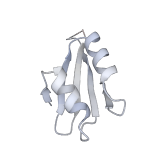 6456_3jbn_Ad_v1-3
Cryo-electron microscopy reconstruction of the Plasmodium falciparum 80S ribosome bound to P-tRNA