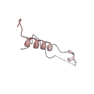 6456_3jbn_Ae_v1-2
Cryo-electron microscopy reconstruction of the Plasmodium falciparum 80S ribosome bound to P-tRNA
